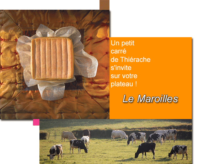 Le Maroilles, un petit carré de Thiérache